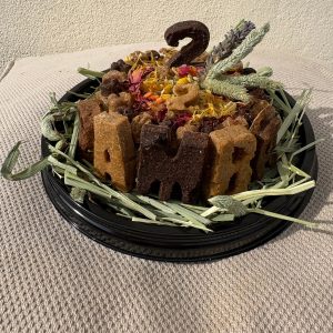 Rabbit Cake – Celebration Cake for Rabbits