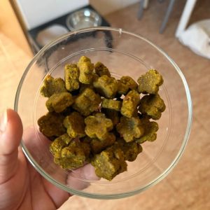 Woof Pipi – Natural Urinary Wellness Support for Dogs
