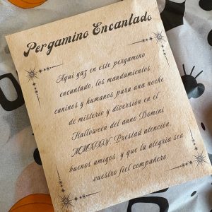 Trick or Treat Mini Box – Halloween Woof 2025