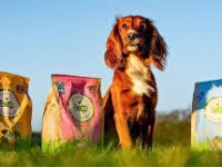 dogWithPacket